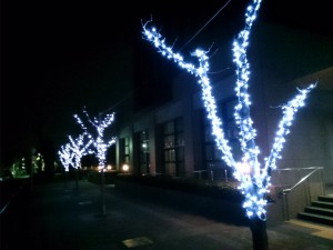 街路樹がライトアップされ、街中でもクリスマスの到来を感じさせる写真