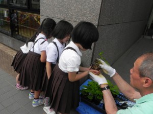 子どもたちが一列に並んで、ゴーヤの苗を受け取っている写真