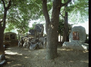 木々の中に俳句を彫りつけた石碑が3つ並んでいる写真