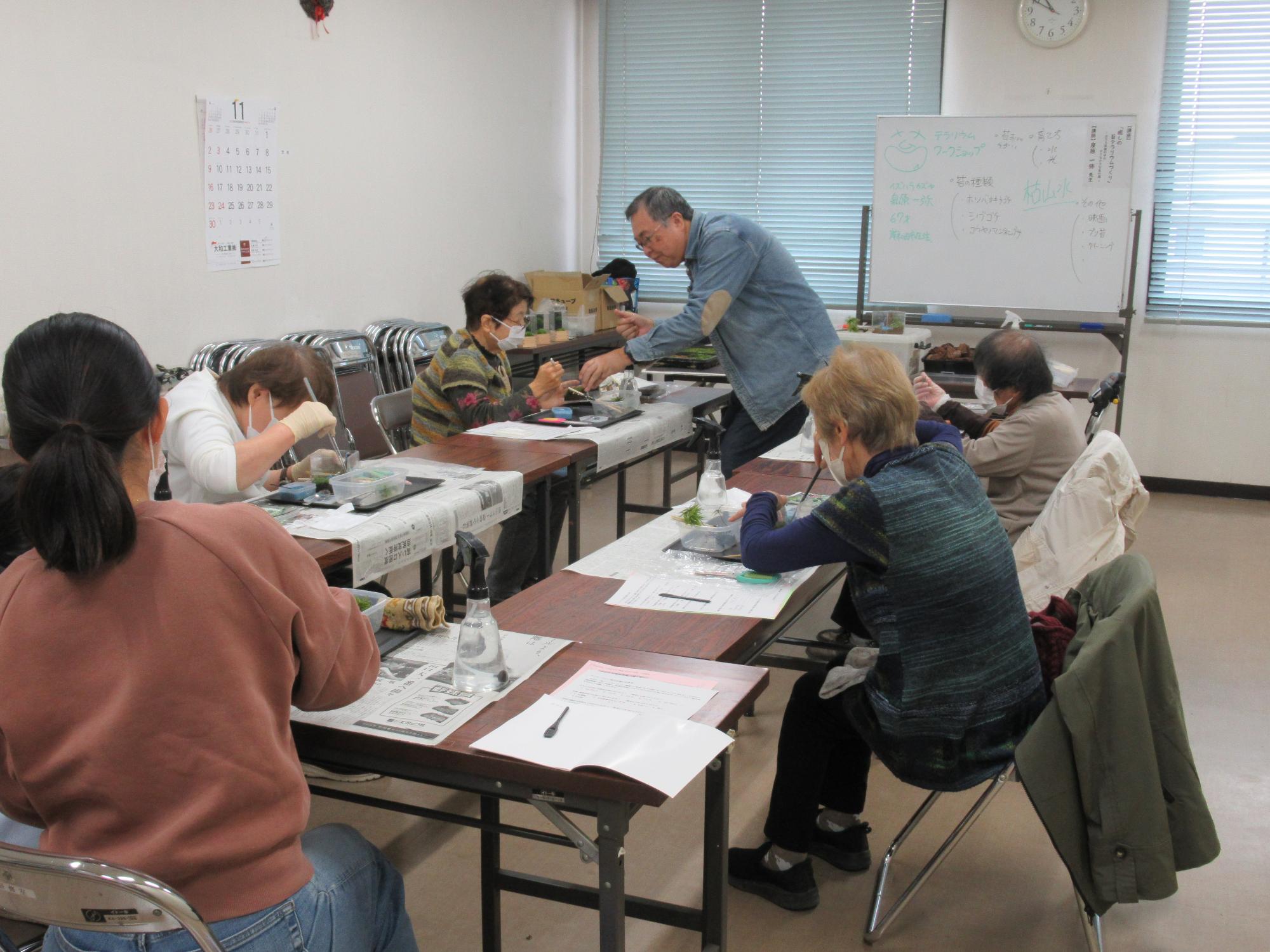 苔テラリウム（一般）1