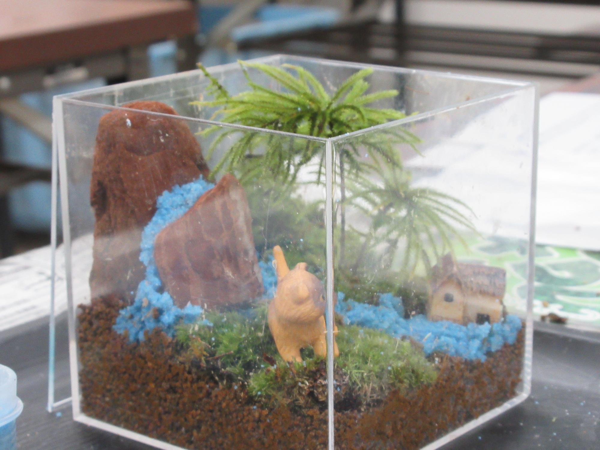 苔テラリウム（一般）2